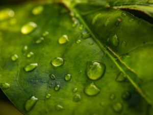 Building Resilience in Stressful Times