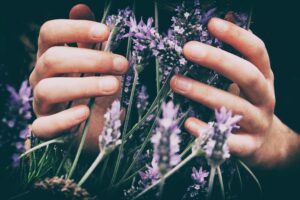 Emotional Intelligence in Everyday Life