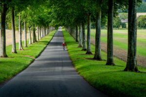 Minimalism and Mental Health