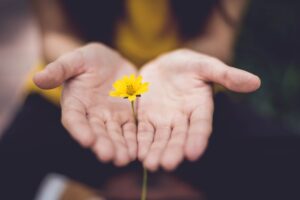 Nutrition and Emotional Balance