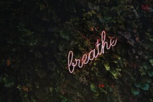 Silence, Solitude, and Self-Discovery